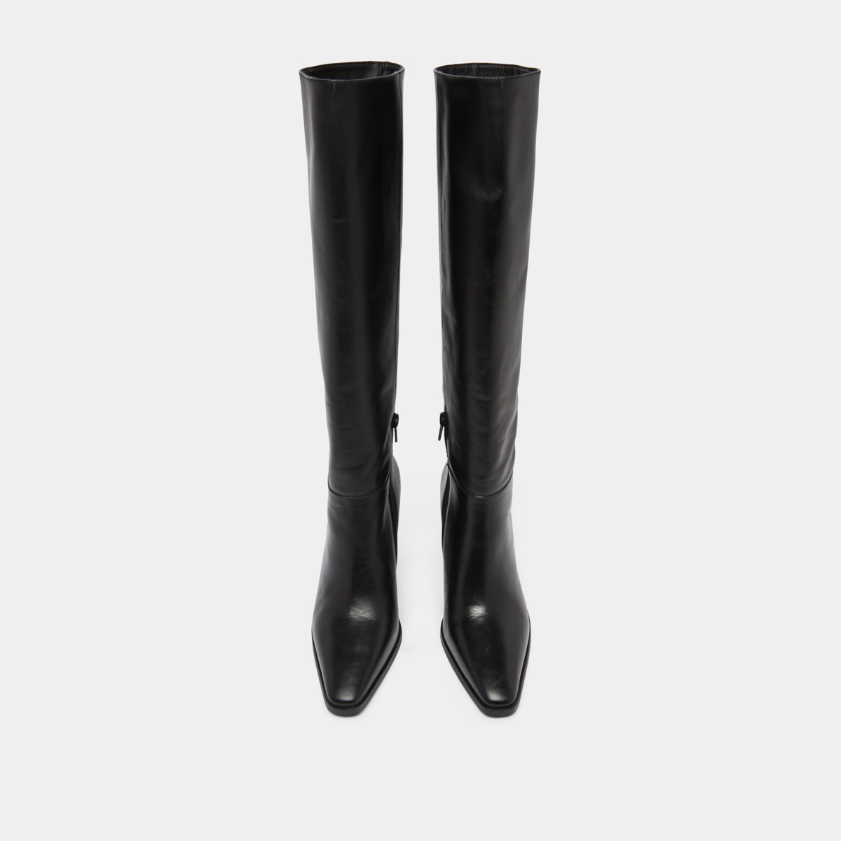 Bottes à bouts pointus in black leather | PLUME