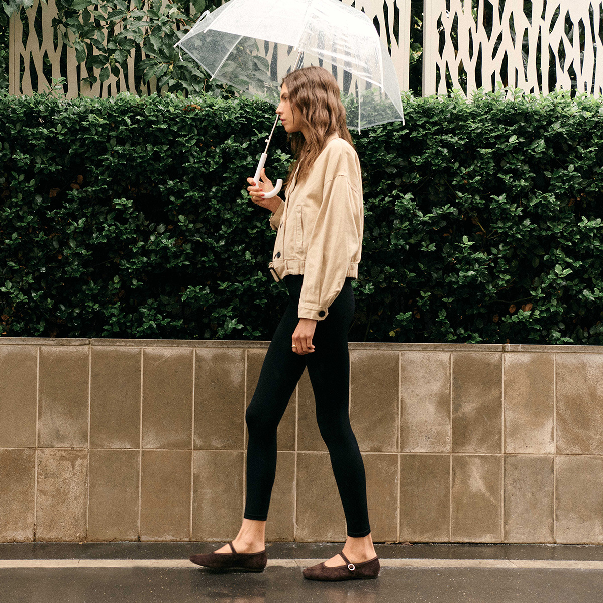 Ballet flats with straps and buckles in dark brown velvet | DEESSE