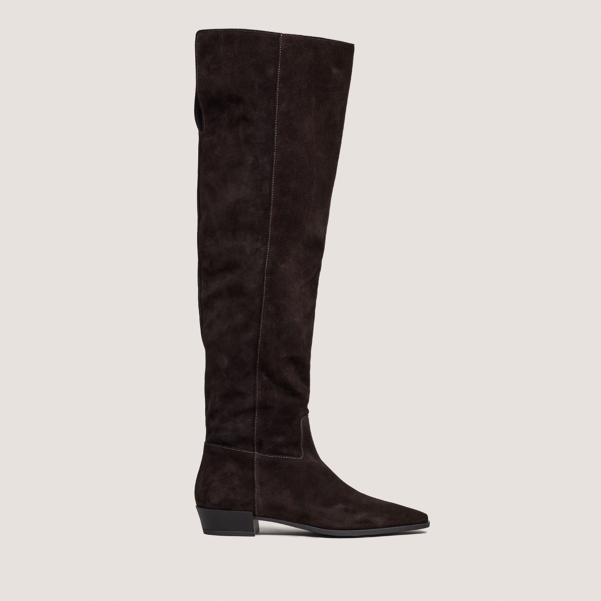 Pointed-toe boots in dark brown suede | PAPILLON