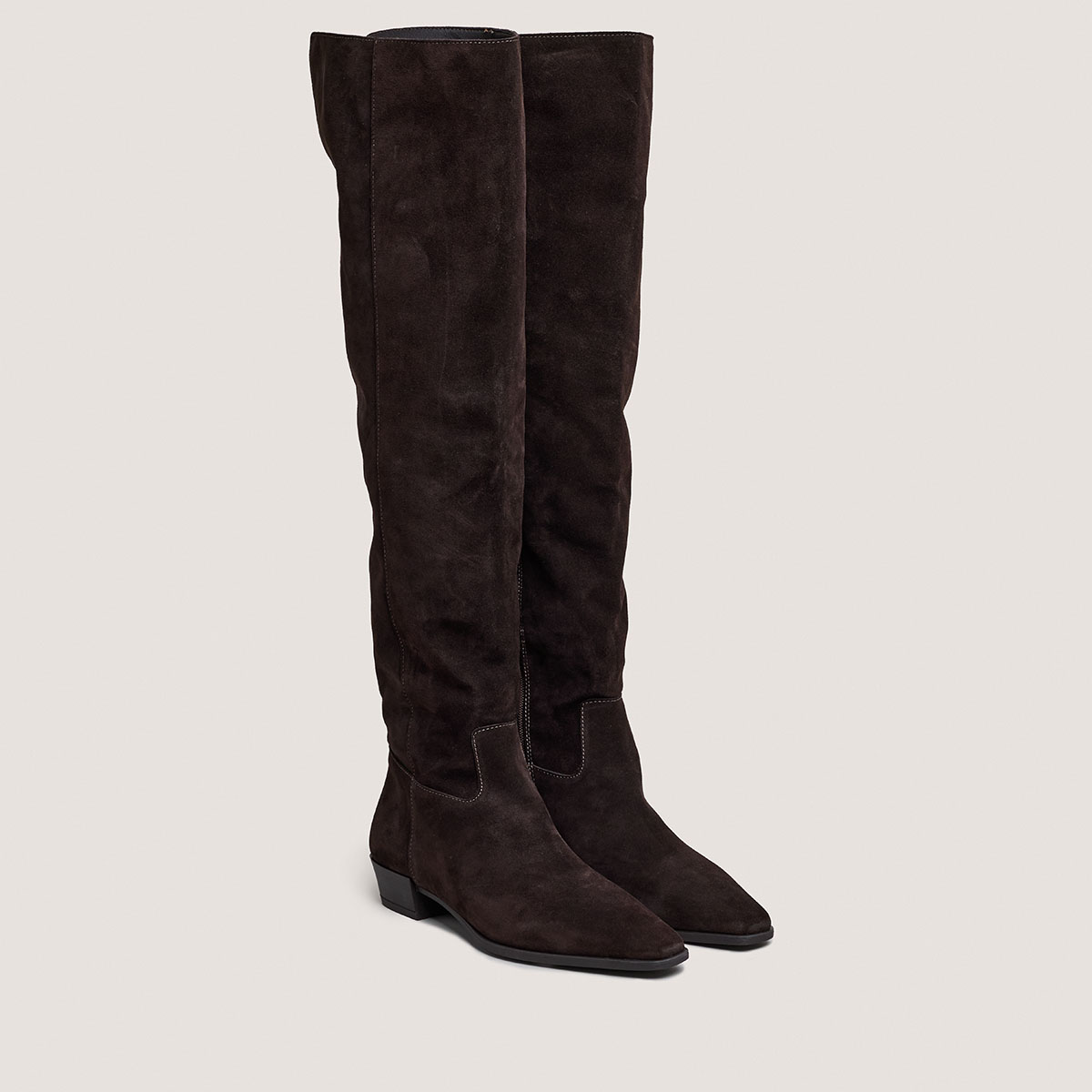 Pointed-toe boots in dark brown suede | PAPILLON