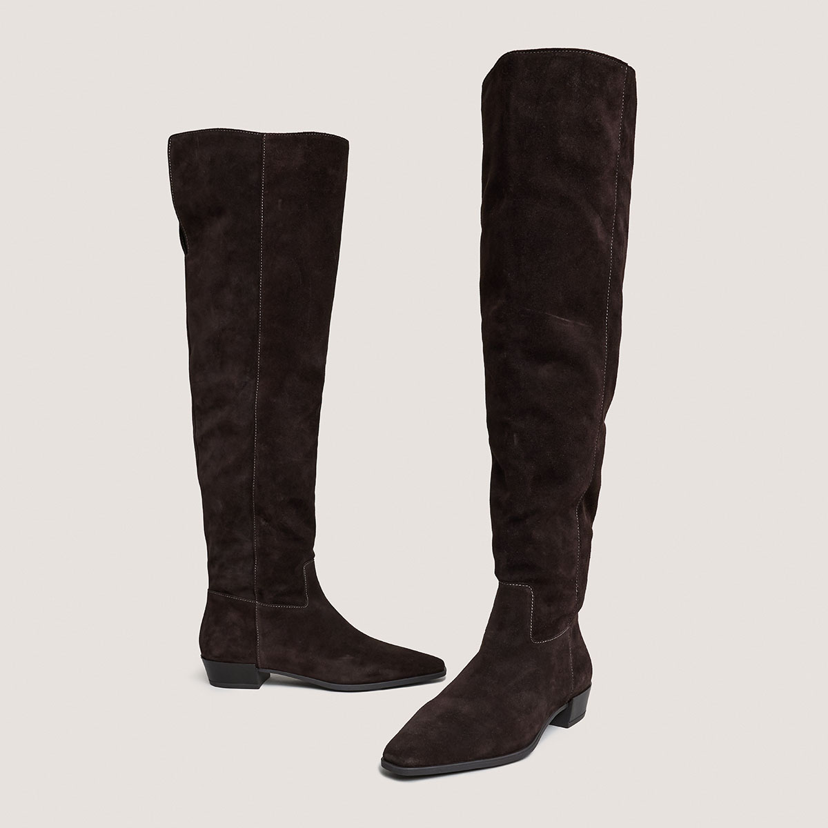 Pointed-toe boots in dark brown suede | PAPILLON
