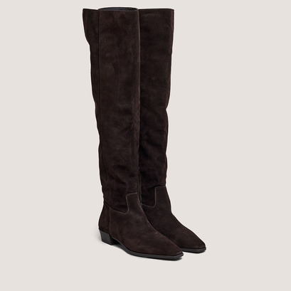 Pointed-toe boots in dark brown suede | papillon