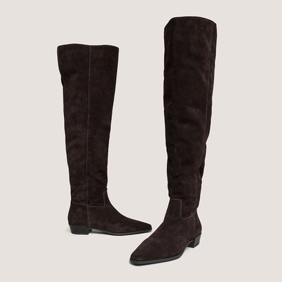 Pointed-toe boots in dark brown suede | papillon