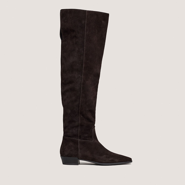 Pointed-toe boots in dark brown suede | PAPILLON