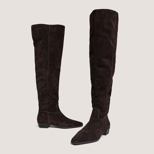 Pointed-toe boots in dark brown suede | PAPILLON