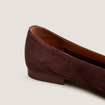 Ballerines &agrave; bouts pointus in dark brown velvet | dassus